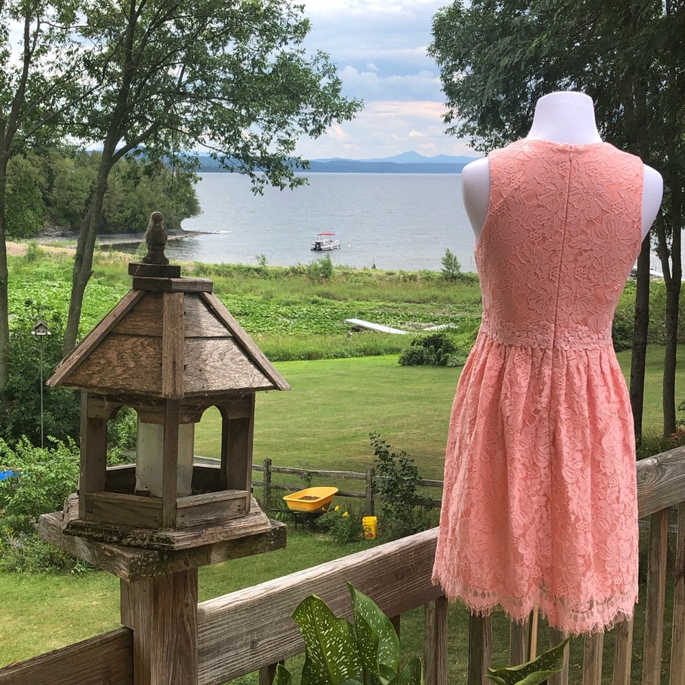 Altar'd State Pink Dress - Gem